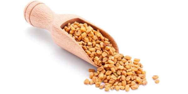 Fenugreek