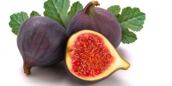 Figs fruit