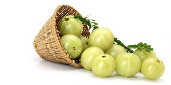 amla