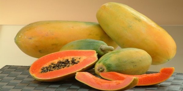 benefits of papaya