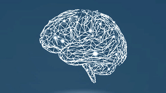 brain