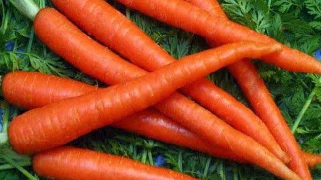 carrots pic