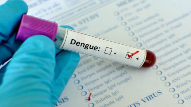 dengue during pregnancy