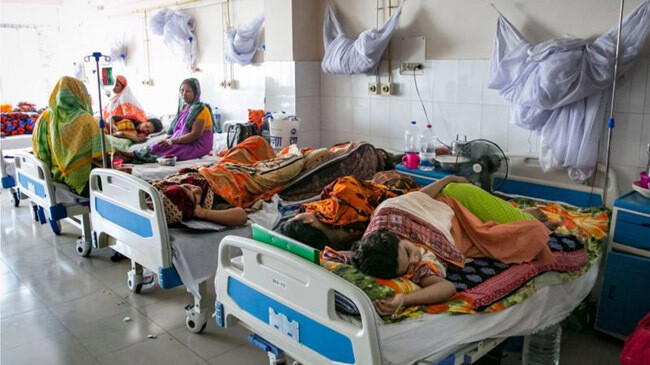 dengue patients