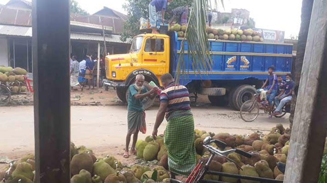 ethophene in jackfruit