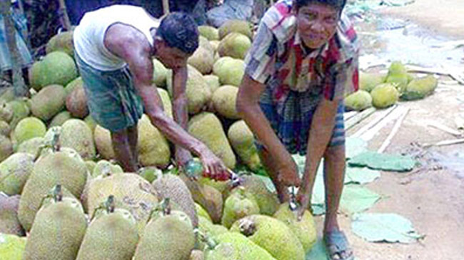 ethophene in jackfruit 1