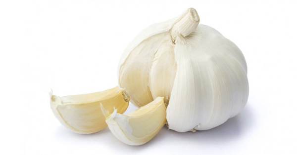 garlic