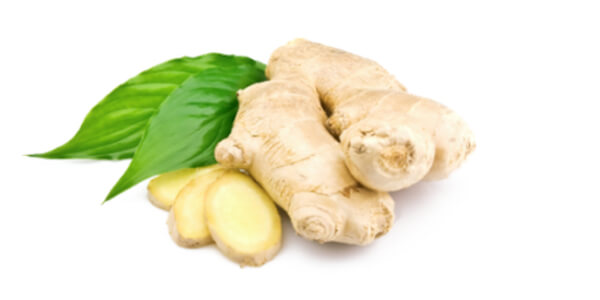 ginger helps to cure from many diseases