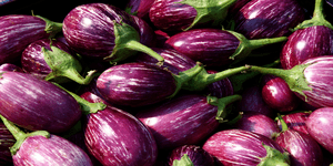 eggplant