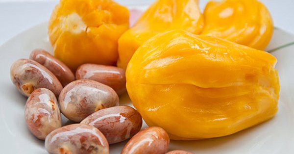 jackfruit seeds