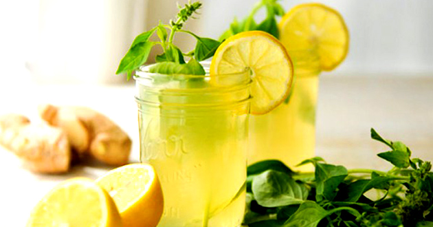 lemonade diet