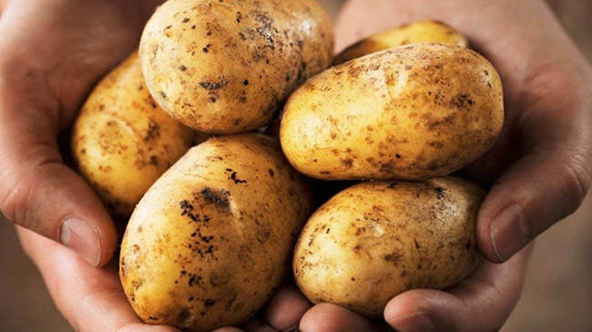 potato image