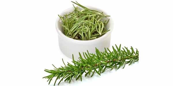 rosemary