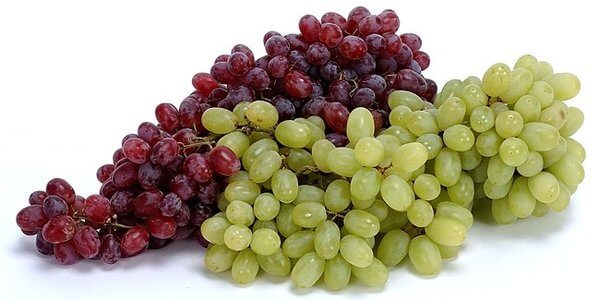 weight loss with grapes