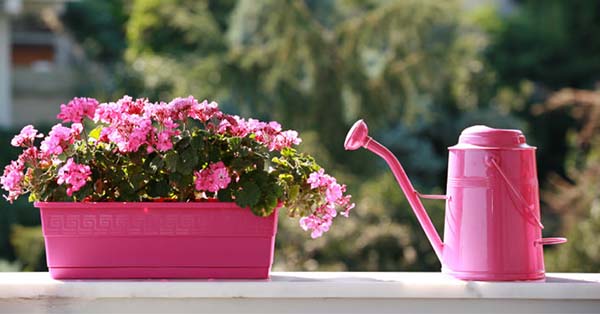 balcony garden