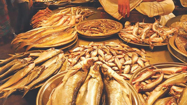 bd fish market 01
