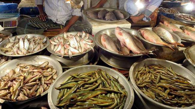 bd fish market