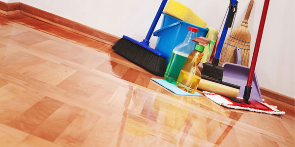 keep clean floors and furnitures