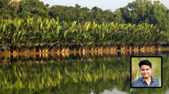 sundarban 1