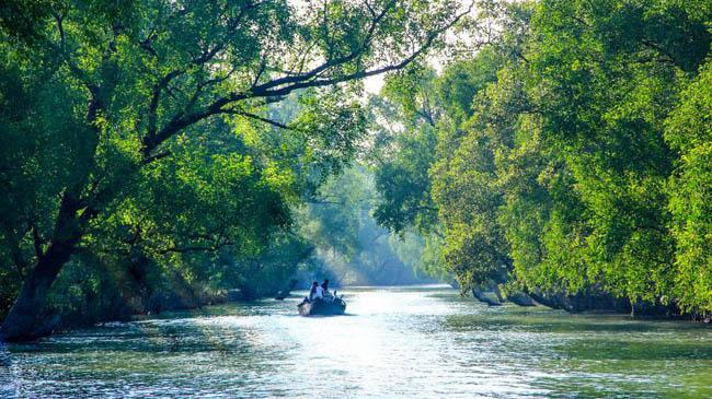 sundarban 2