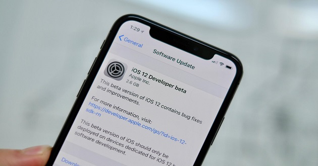 ios 12 developer beta