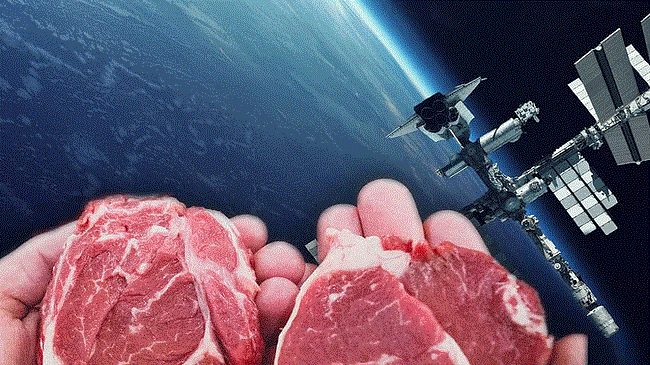 cultured meat for astronauts 1