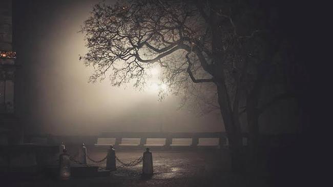 foggy night