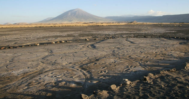 foot print of human