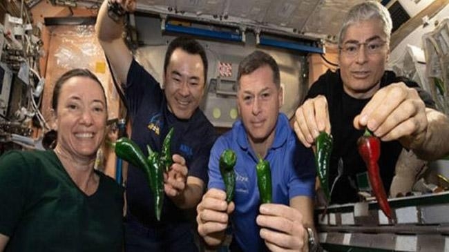 four astronauts waiting wearing diaper inner