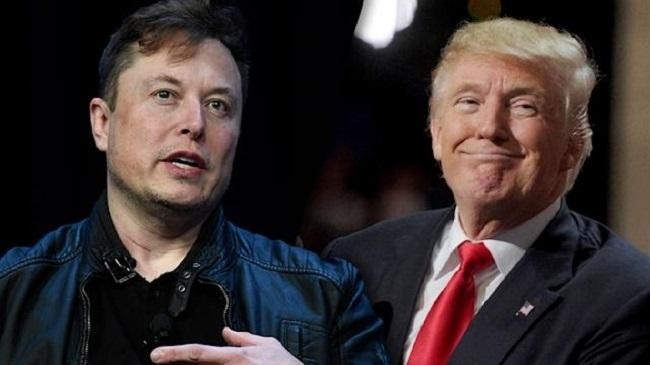 donald trump elon musk