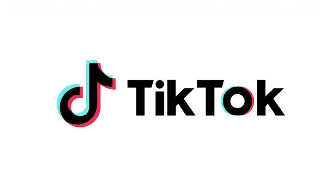 tiktok firework