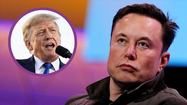 elon musk and donald trump