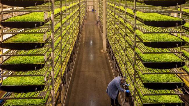 vertical farm