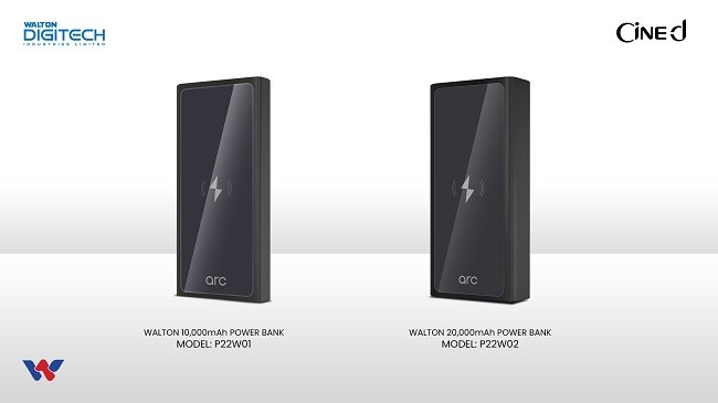 walton wireless power bank