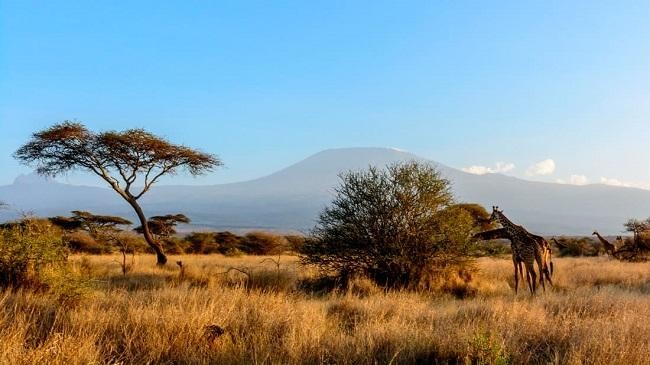 mount kilimanjaro