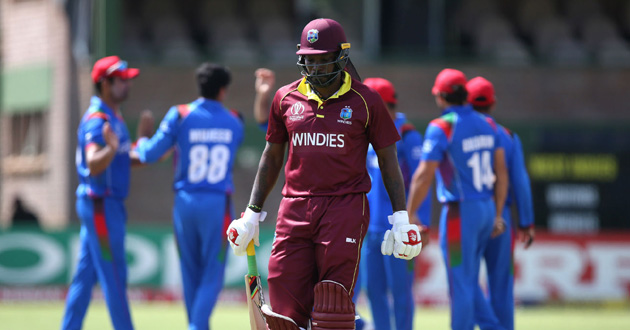 afghanistan stun gayle co