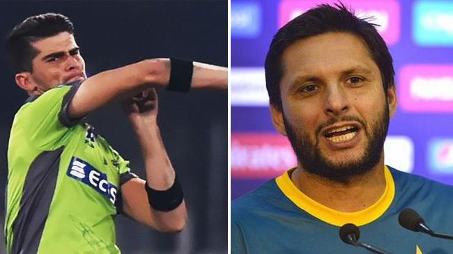 afridi and shahin 2