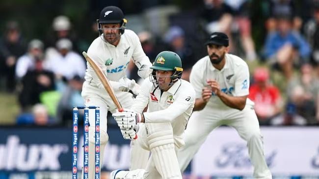 alex carey knock 98 australia won