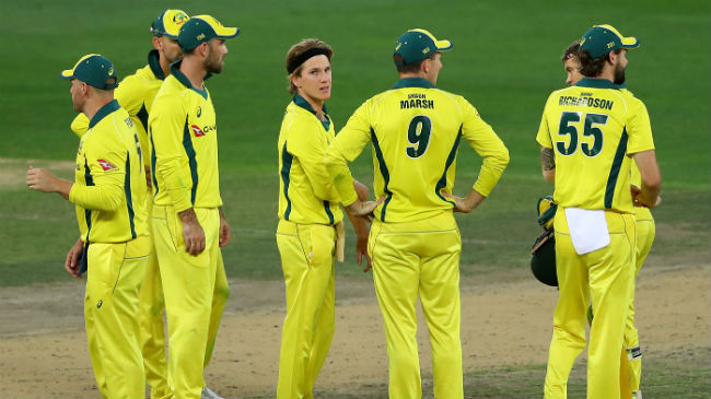 australia celebrate a wicket