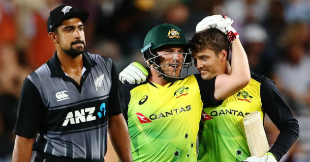australia chased down 243 in t20