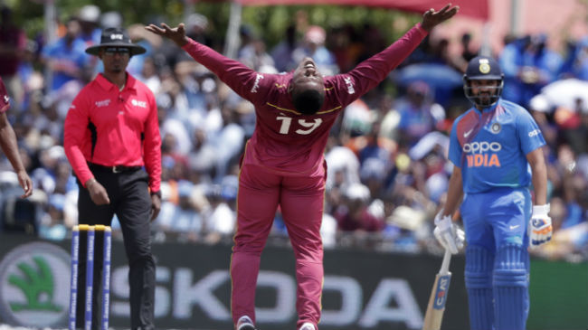 cottrell celebrates a wicket