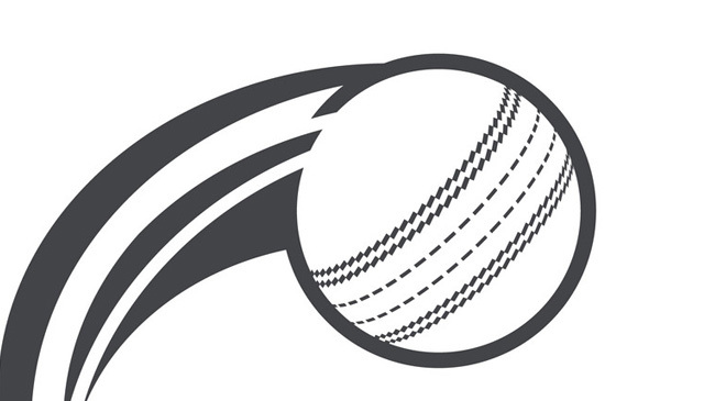 cricket ball logo