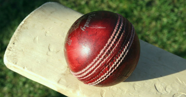 cricket bat and ball