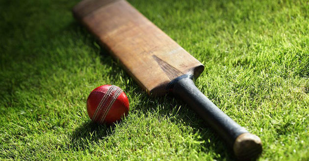 cricket bat ball