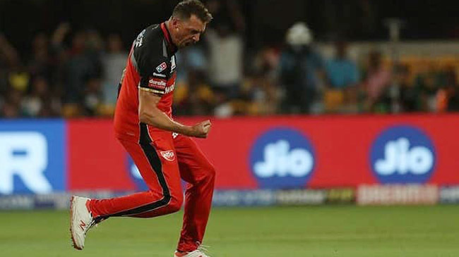 dale steyn injured