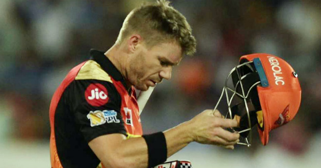 david warner ipl hyderabad