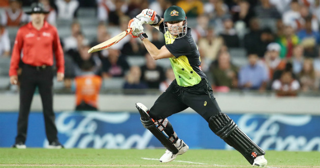 david warner t20 new zealand vs australia