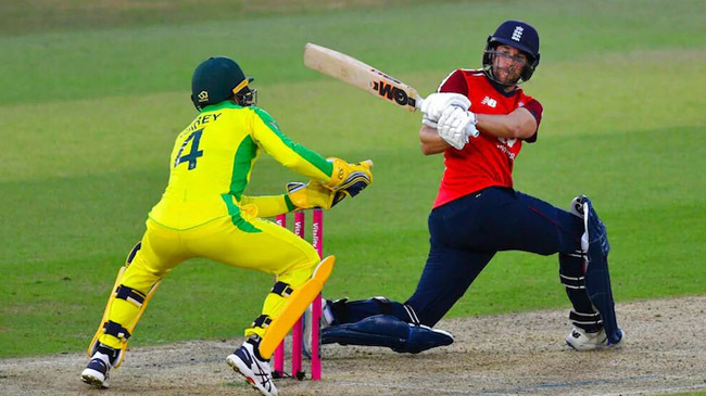 dawid malan cricketer