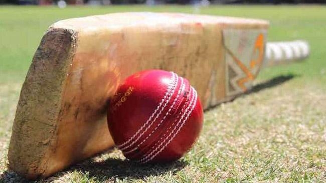 domestic cricket