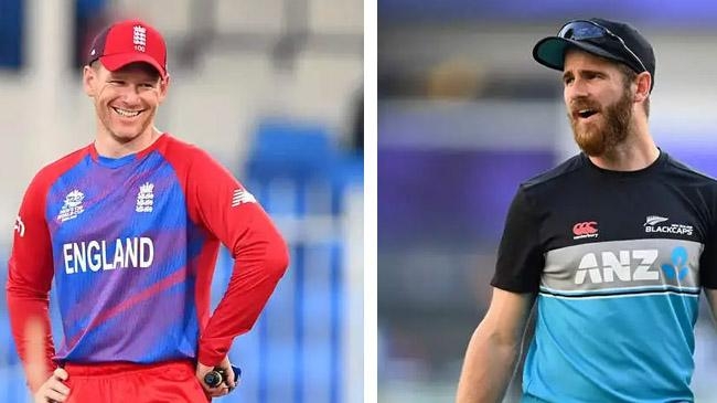 england and new zealand semi final